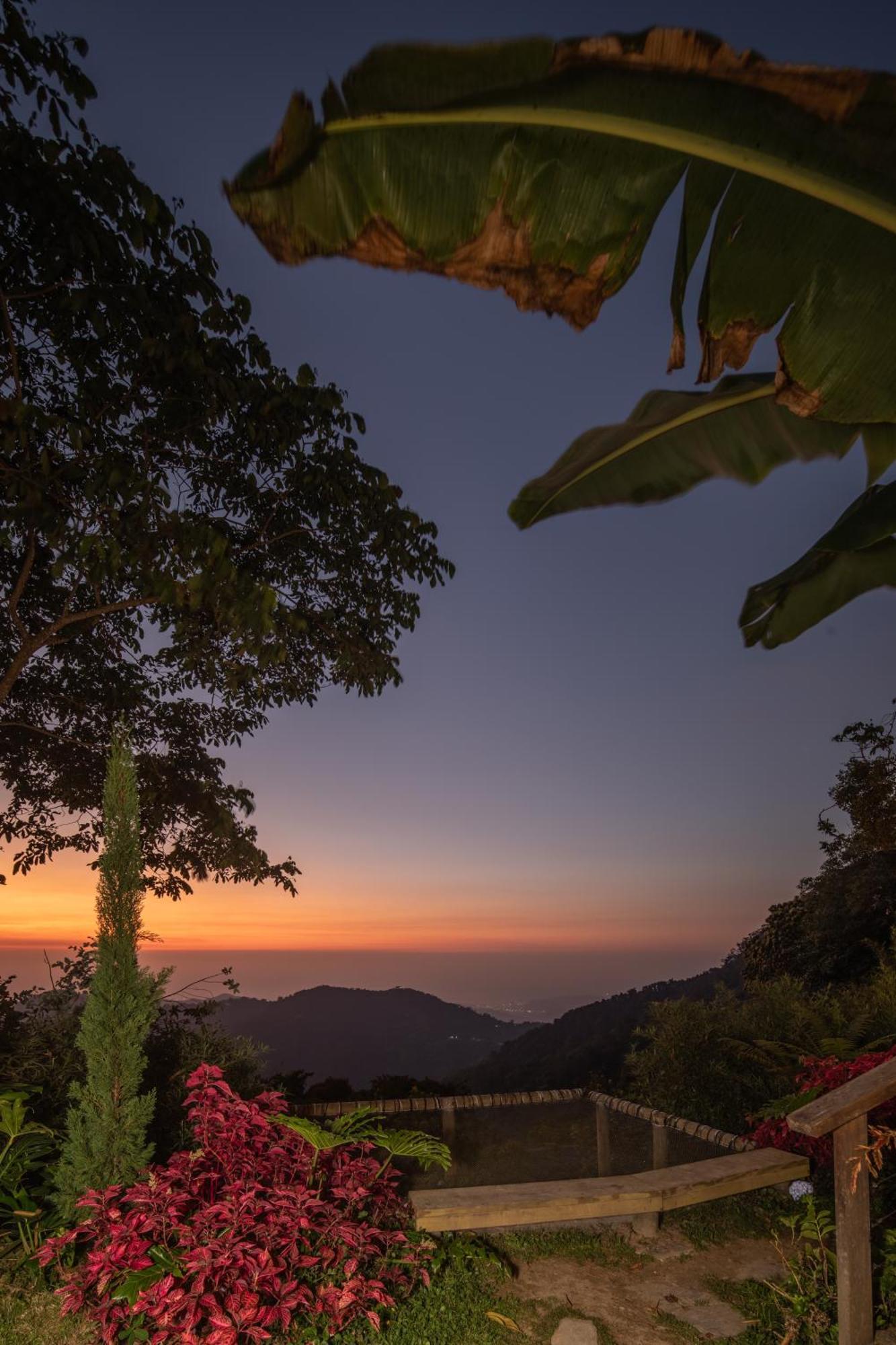 Minca Casa Las Nubes - Un Refugio Natural En La Sierra Nevada, Santa Marta, Col Екстер'єр фото