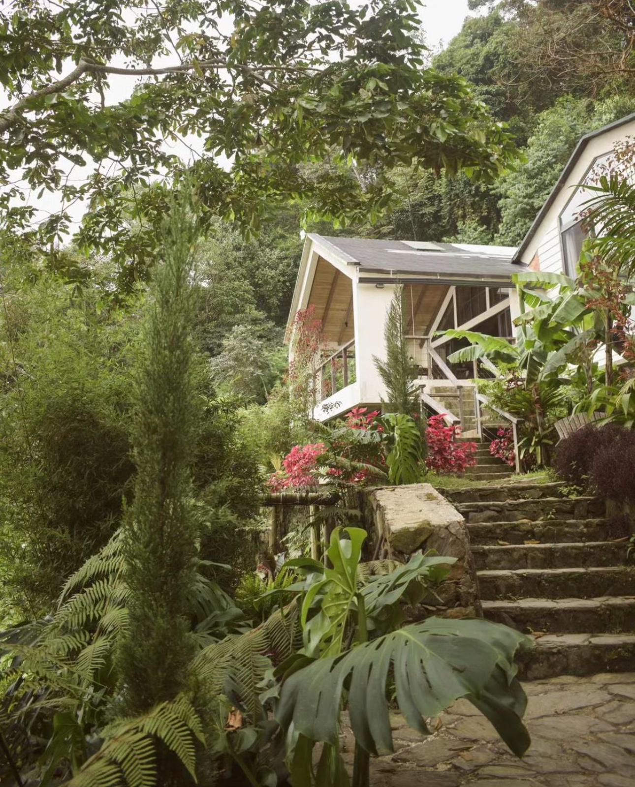 Minca Casa Las Nubes - Un Refugio Natural En La Sierra Nevada, Santa Marta, Col Екстер'єр фото